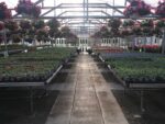 Hartman’s Towne & Country Greenhouse